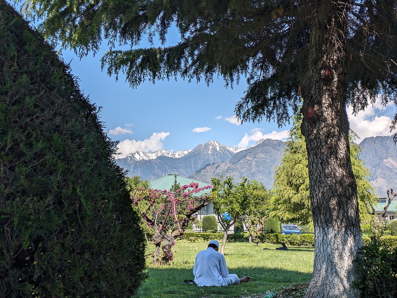 University of Kashmir photograph
