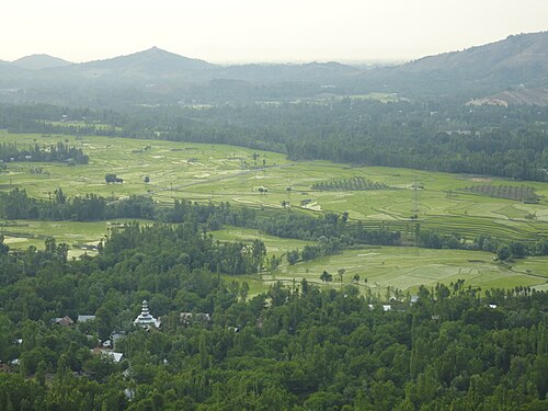 Verinag photograph